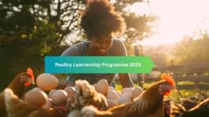 🚨 YES4Youth Poultry Programme – Kickstart Your Agriculture Career! 🚨
