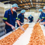 istockphoto-1156252783-612x612-1 (1)